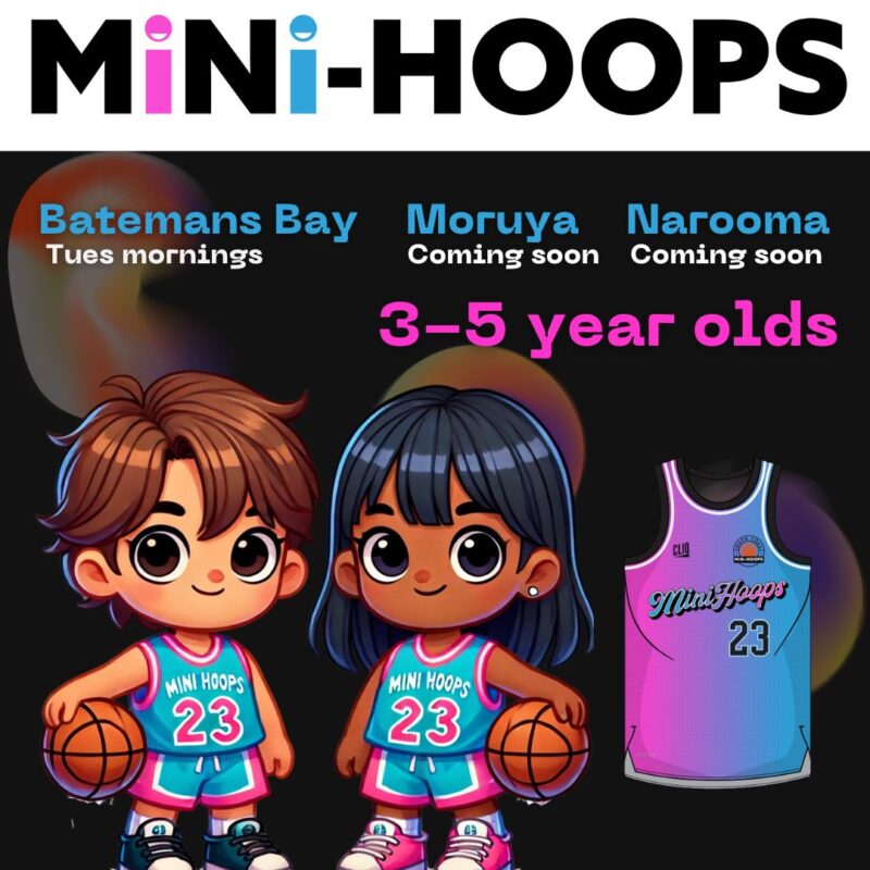 MiNi-Hoops Term 4 2024
